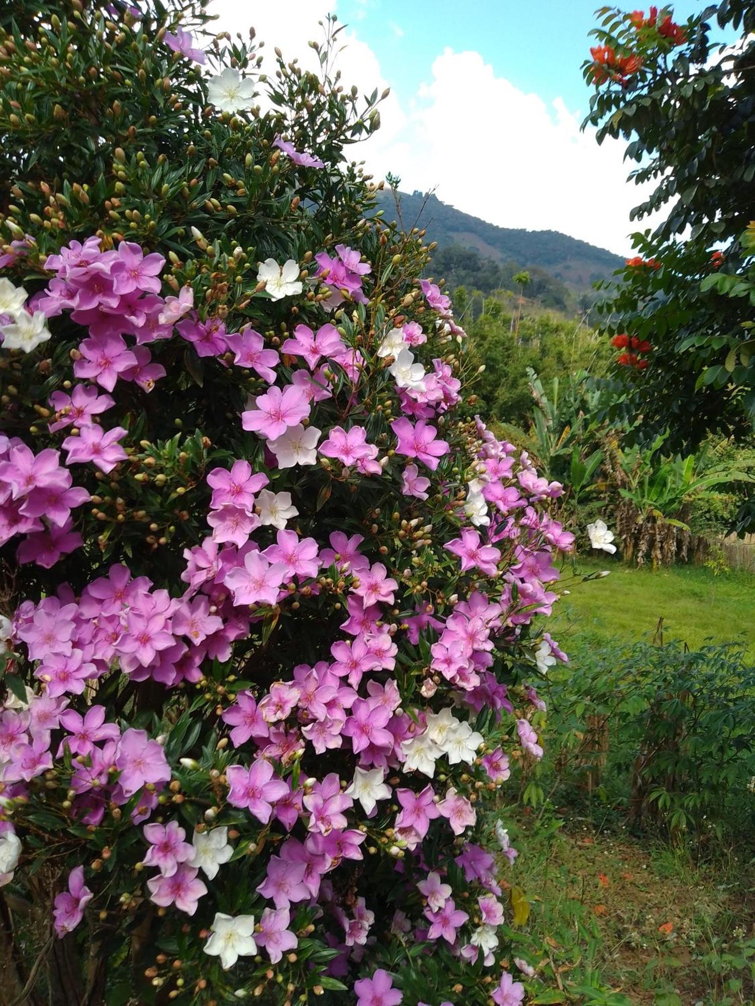 Rancho Pe Da Pedra Villa Sao Bento do Sapucai Ruang foto