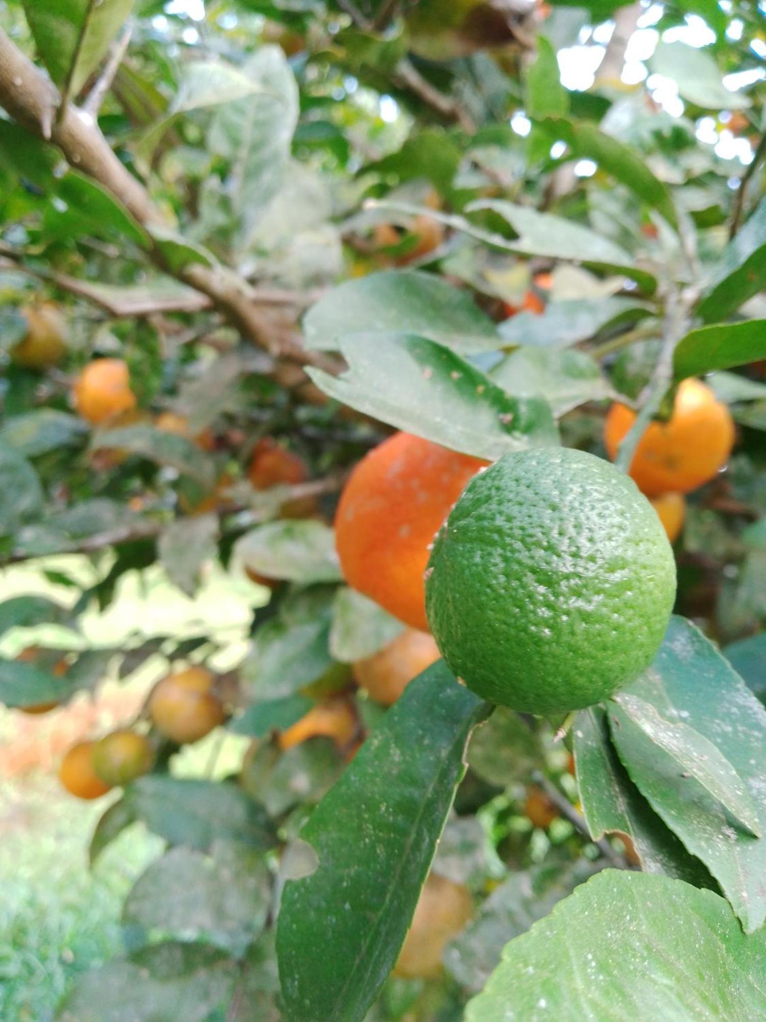 Rancho Pe Da Pedra Villa Sao Bento do Sapucai Ruang foto