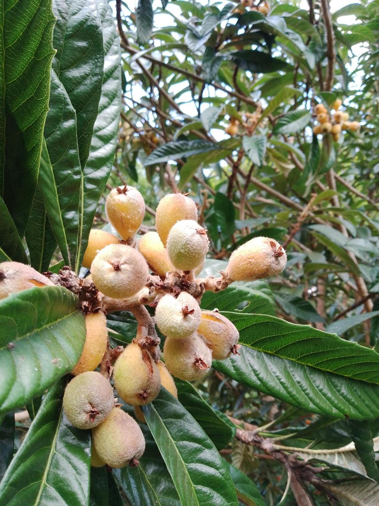 Rancho Pe Da Pedra Villa Sao Bento do Sapucai Ruang foto